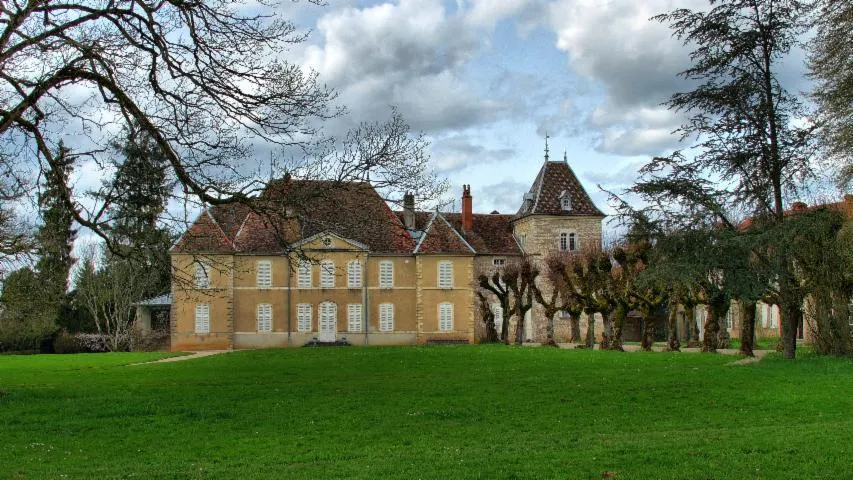 Image qui illustre: Château De Vregille