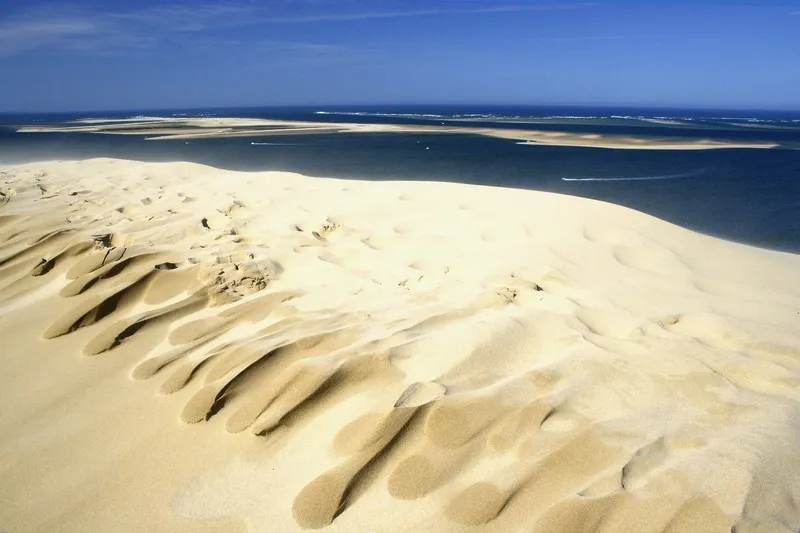 Image qui illustre: Grand Site de la Dune du Pilat à La Teste-de-Buch - 0