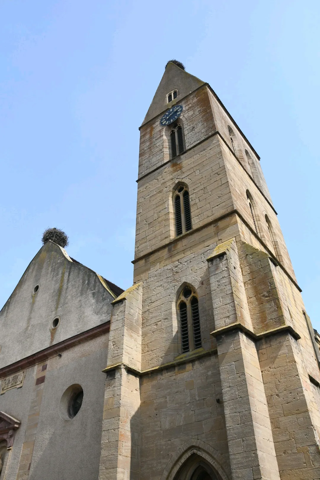 Image qui illustre: Eglise Saints-Pierre-et-Paul à Eguisheim - 1