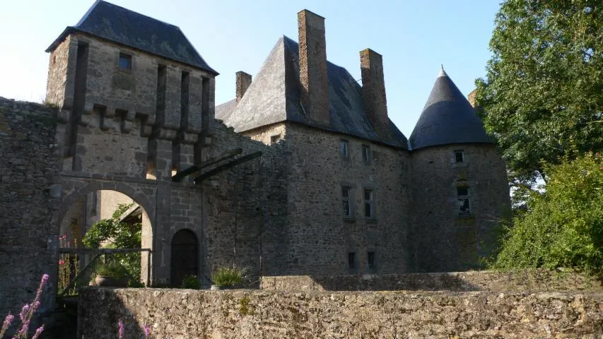 Image qui illustre: Château et Jardin de la Guyonnière