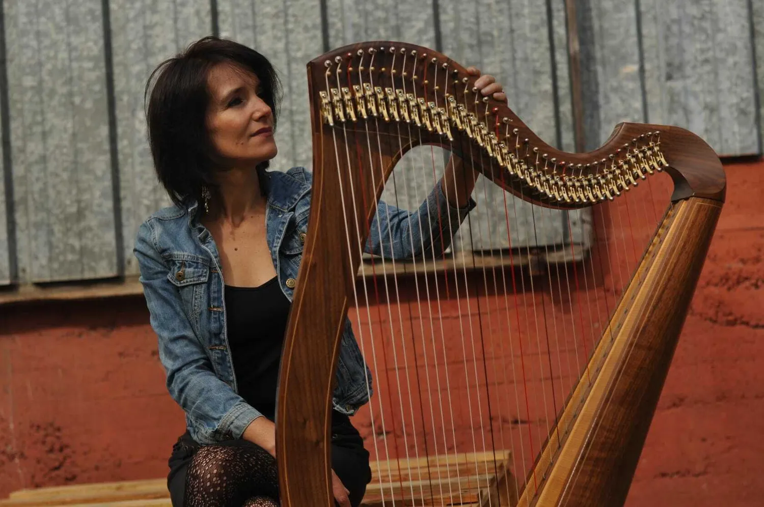 Image qui illustre: Concert de harpe celtique à Guiry-en-Vexin - 0