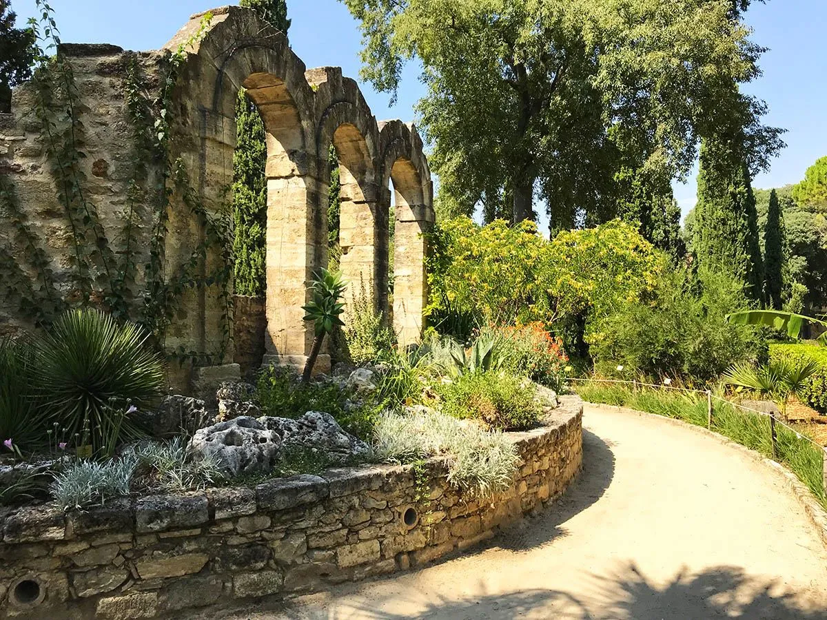 Image qui illustre: Le Jardin Des Plantes à Montpellier - 1