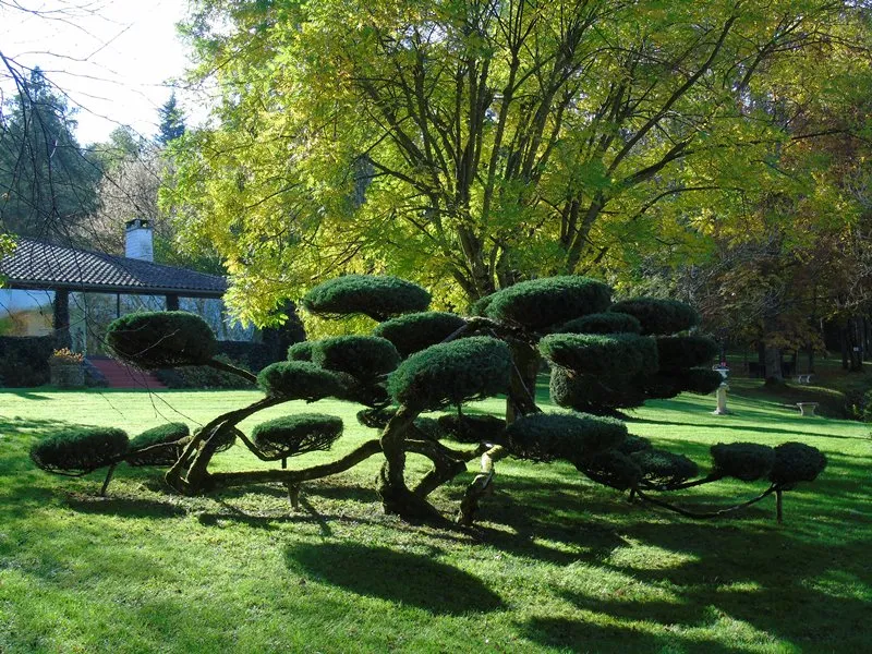 Image qui illustre: Les Jardins Tranquilles à Brantôme en Périgord - 2