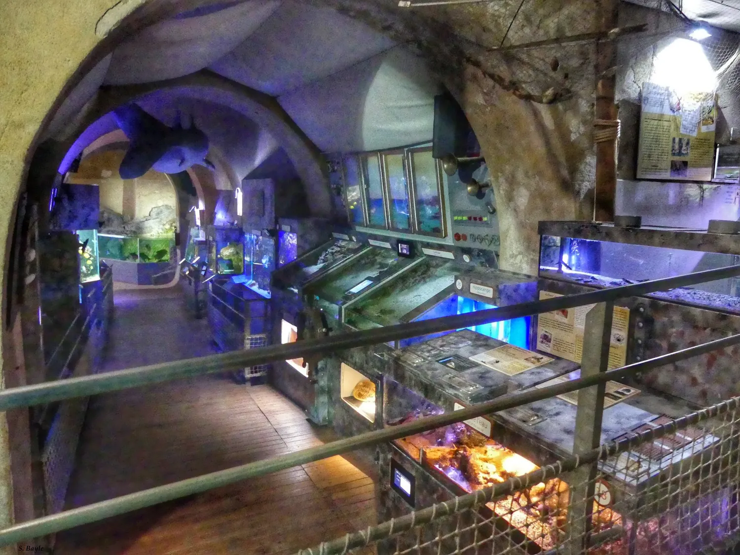 Image qui illustre: Aquarium du Limousin à Limoges - 0