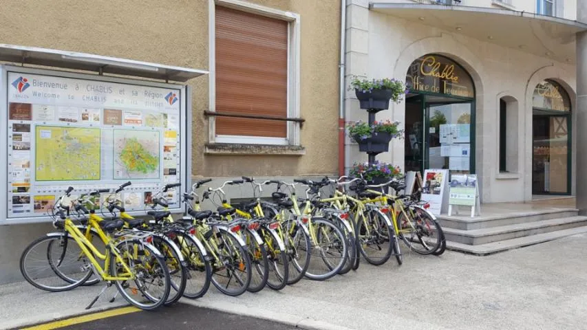Image qui illustre: Office de Tourisme Chablis, Cure, Yonne & Tonnerrois - Location de vélos
