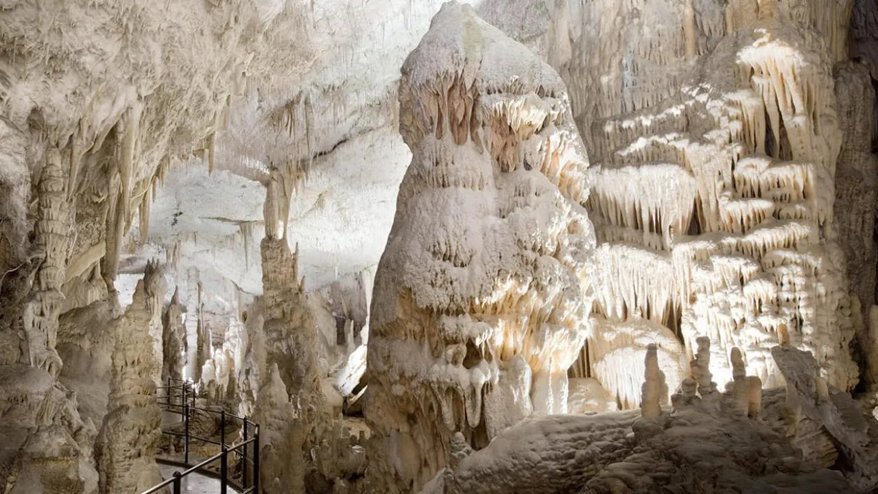 Image qui illustre: Grotte de Postojna  à  - 1
