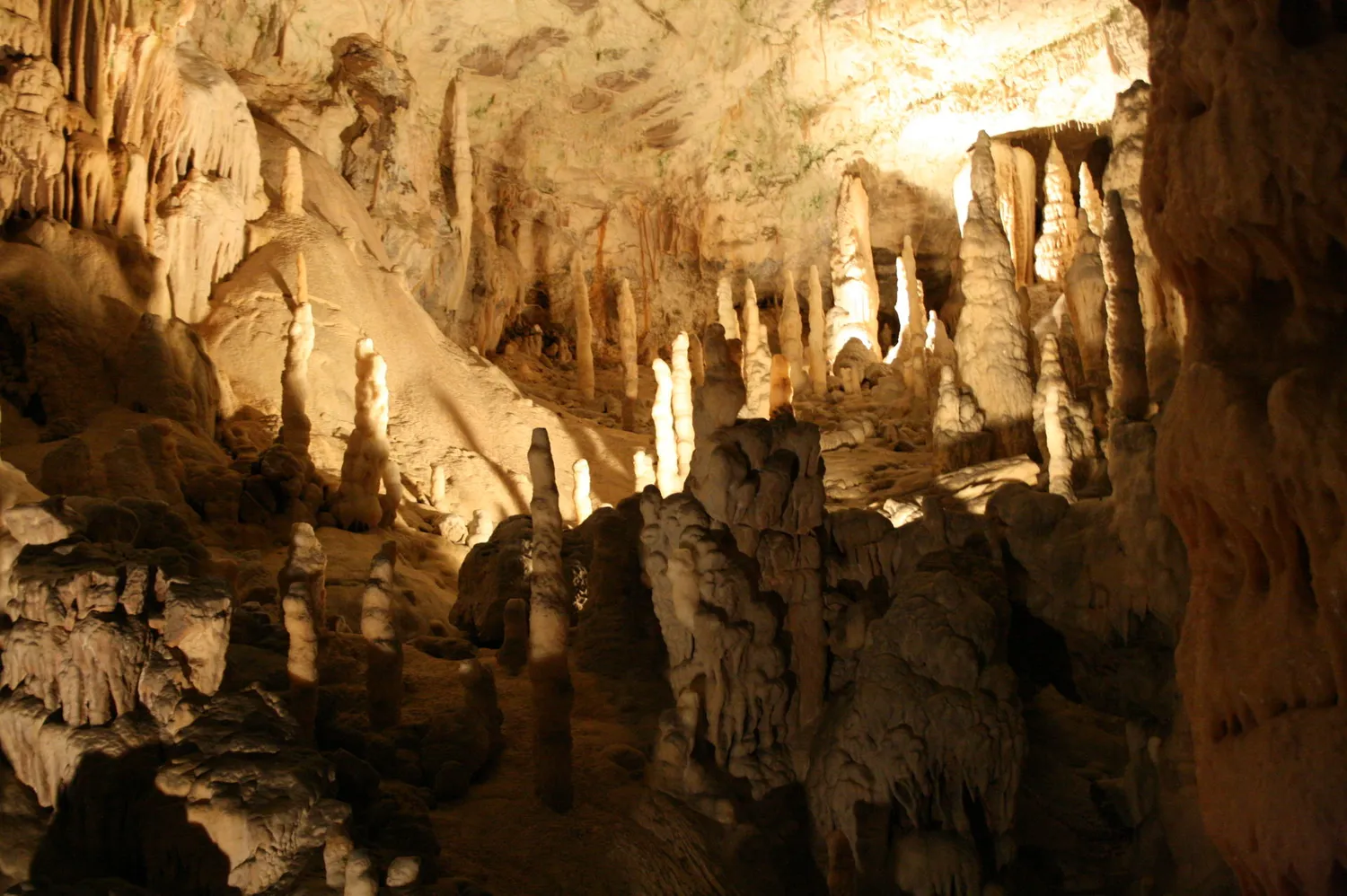 Image qui illustre: Grotte de Postojna  à  - 0