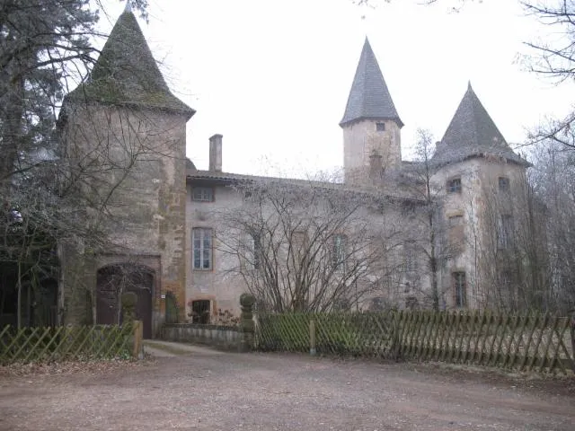 Image qui illustre: Château D'estours