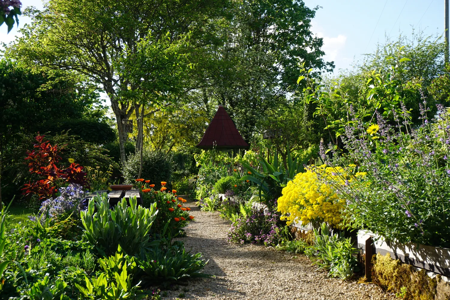 Image qui illustre: Visite du  Jardin bienveillant  à Saint-Martin-du-Mont - 0