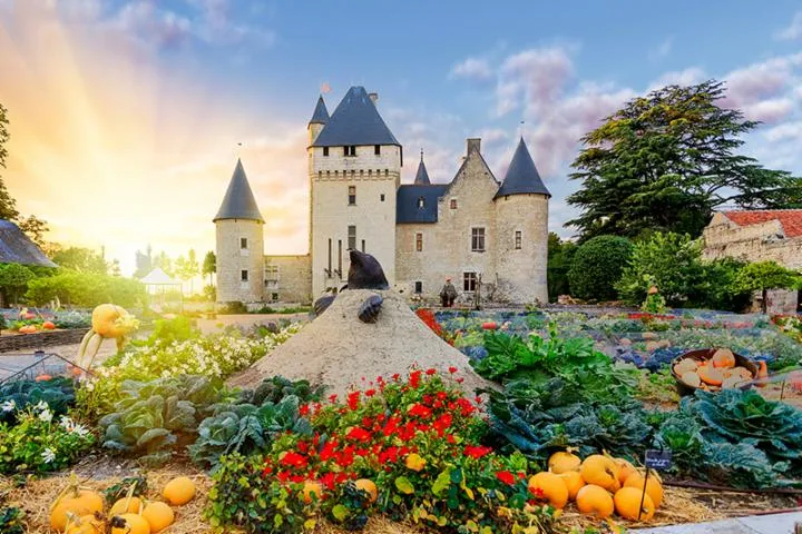 Image qui illustre: Château Et Jardins Du Rivau