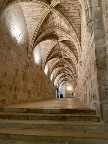 Image qui illustre: Crypte De La Cathédrale