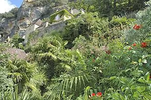 Image qui illustre: Jardin exotique de La Roque Gageac