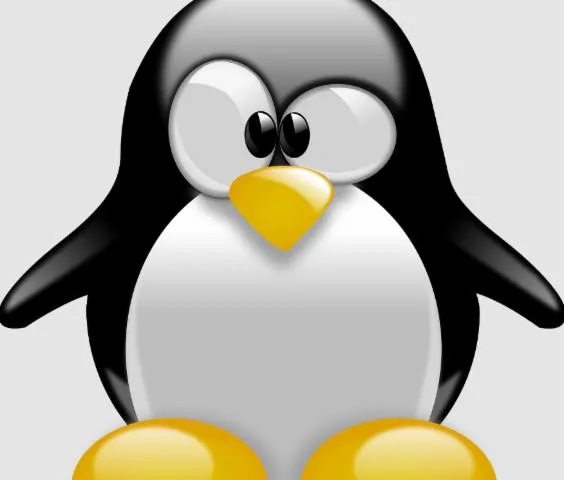 Image qui illustre: Linux Install Party
