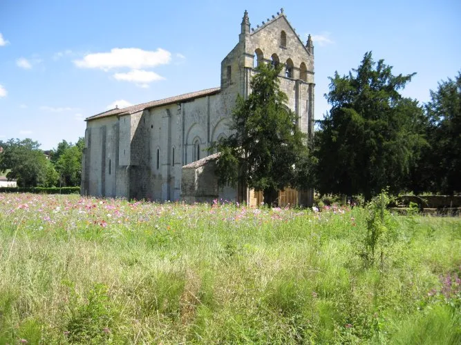 Image qui illustre: Abbaye Saint-Nicolas de Blasimon à Blasimon - 1