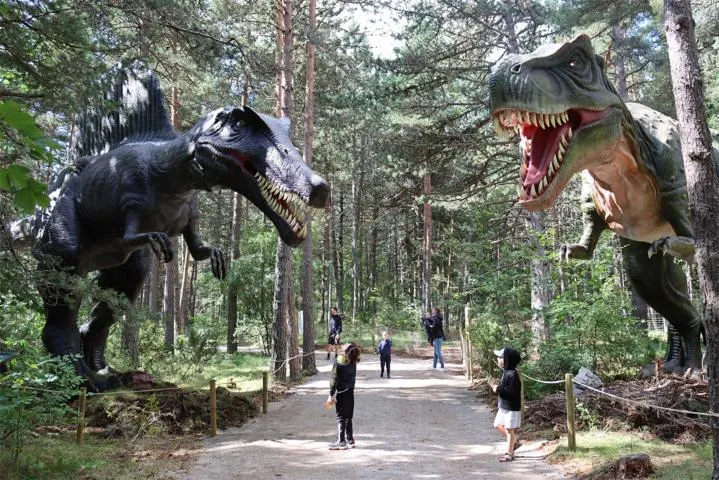 Image qui illustre: Dinopedia Parc