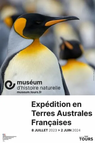 Image qui illustre: Visite libre de l'exposition temporaire Expédition en Terres Australes Françaises