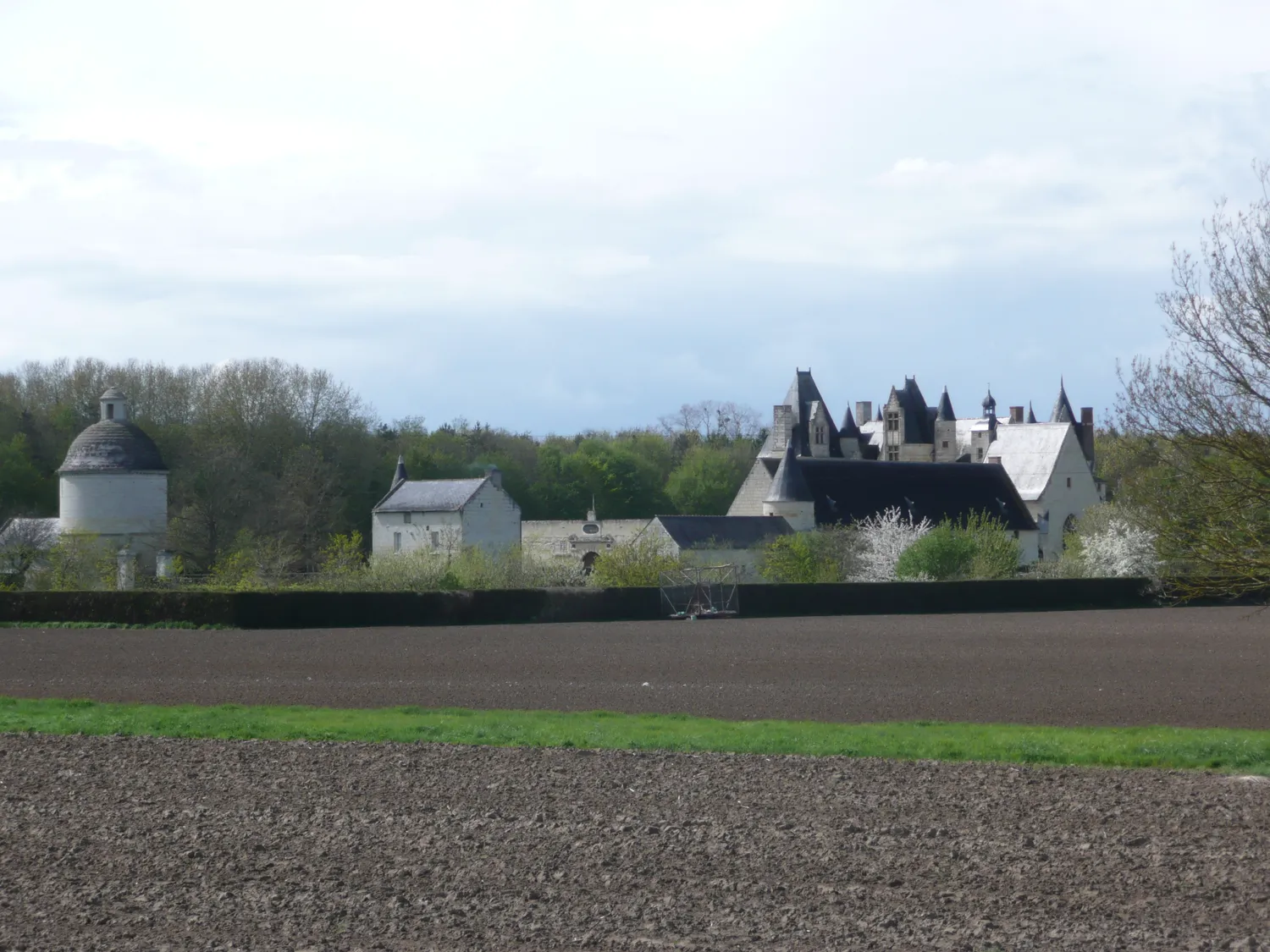 Image qui illustre: Château De Boumois à Gennes-Val-de-Loire - 0
