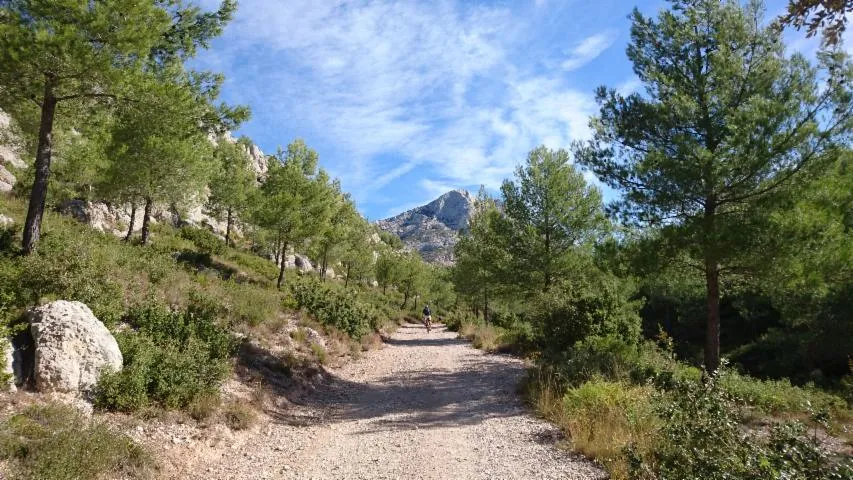 Image qui illustre: Parc Départemental de Roques Hautes