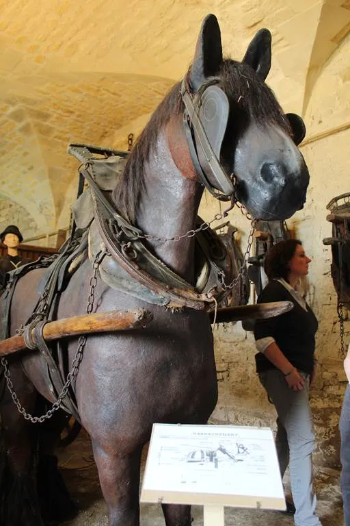 Image qui illustre: Musée du cheval de trait ardennais à Buzancy - 2