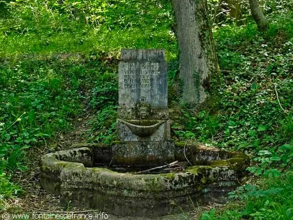 Image qui illustre: Fontaine Des Carmes