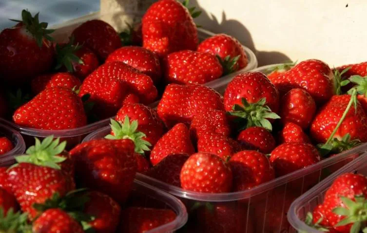 Image qui illustre: Aux fraises de Bourcq