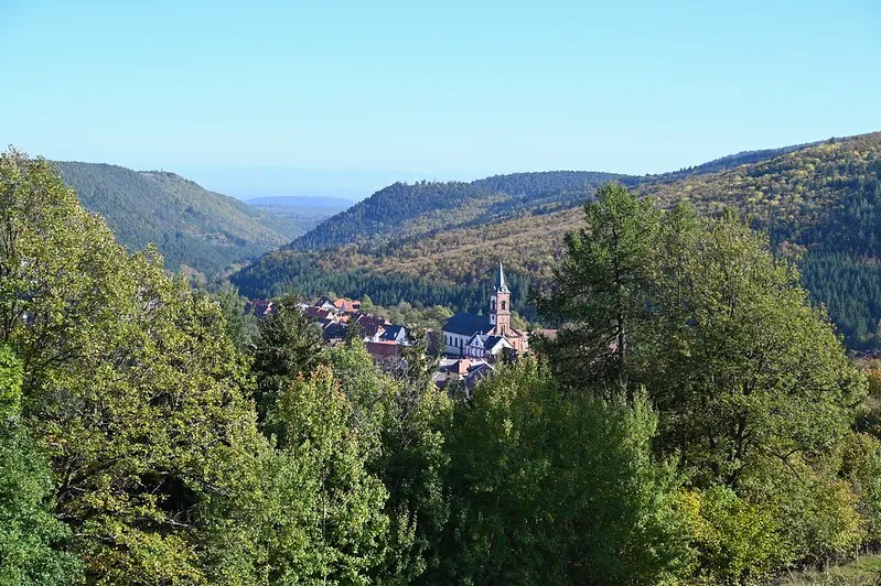 Image qui illustre: Massif des Vosges à Metzeral - 2