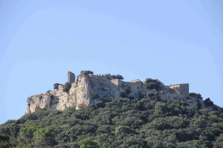 Image qui illustre: Château De Gicon