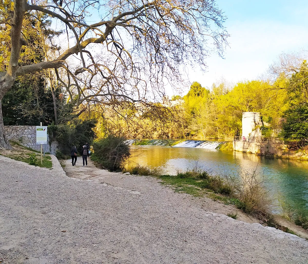 Image qui illustre: Parc Du Domaine De Méric à Montpellier - 1