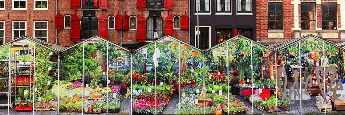 Image qui illustre: Bloemenmarkt - Marché aux fleurs à  - 0
