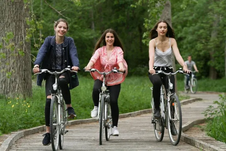 Image qui illustre: La Bicyclette du Marais