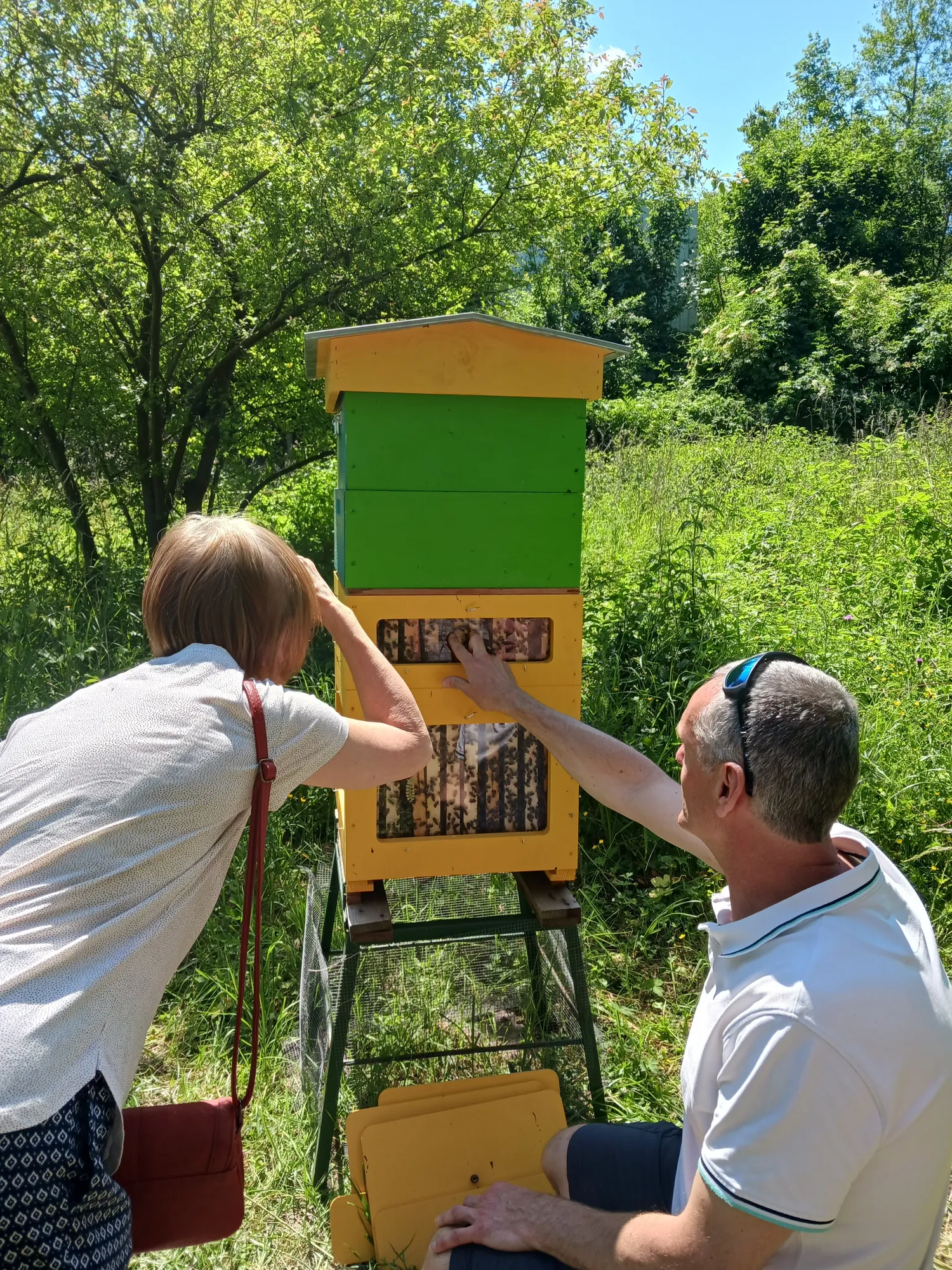 Image qui illustre: Visite découverte du verger-rucher pédagogique à Pontoise - 0