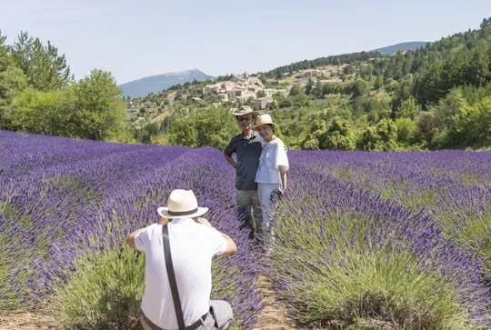 Image qui illustre: Visite des champs de lavande l'après-midi au départ d'Aix-en-Provence