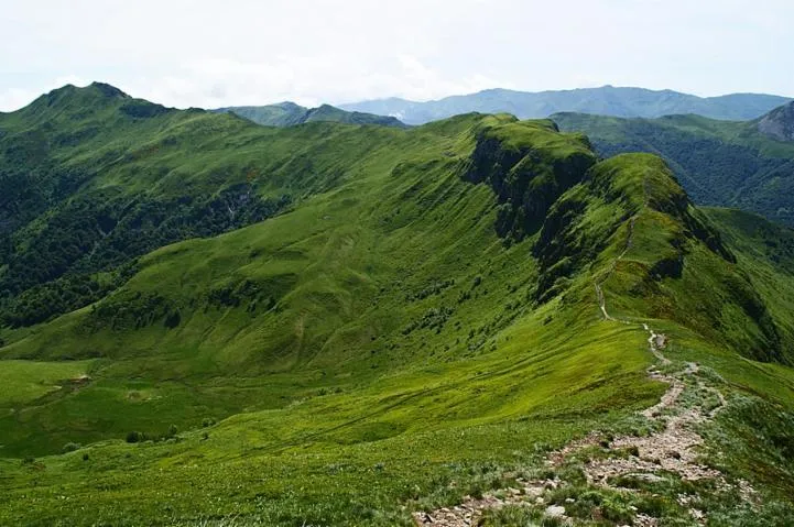 Image qui illustre: Parc naturel régional des Volcans d’Auvergne