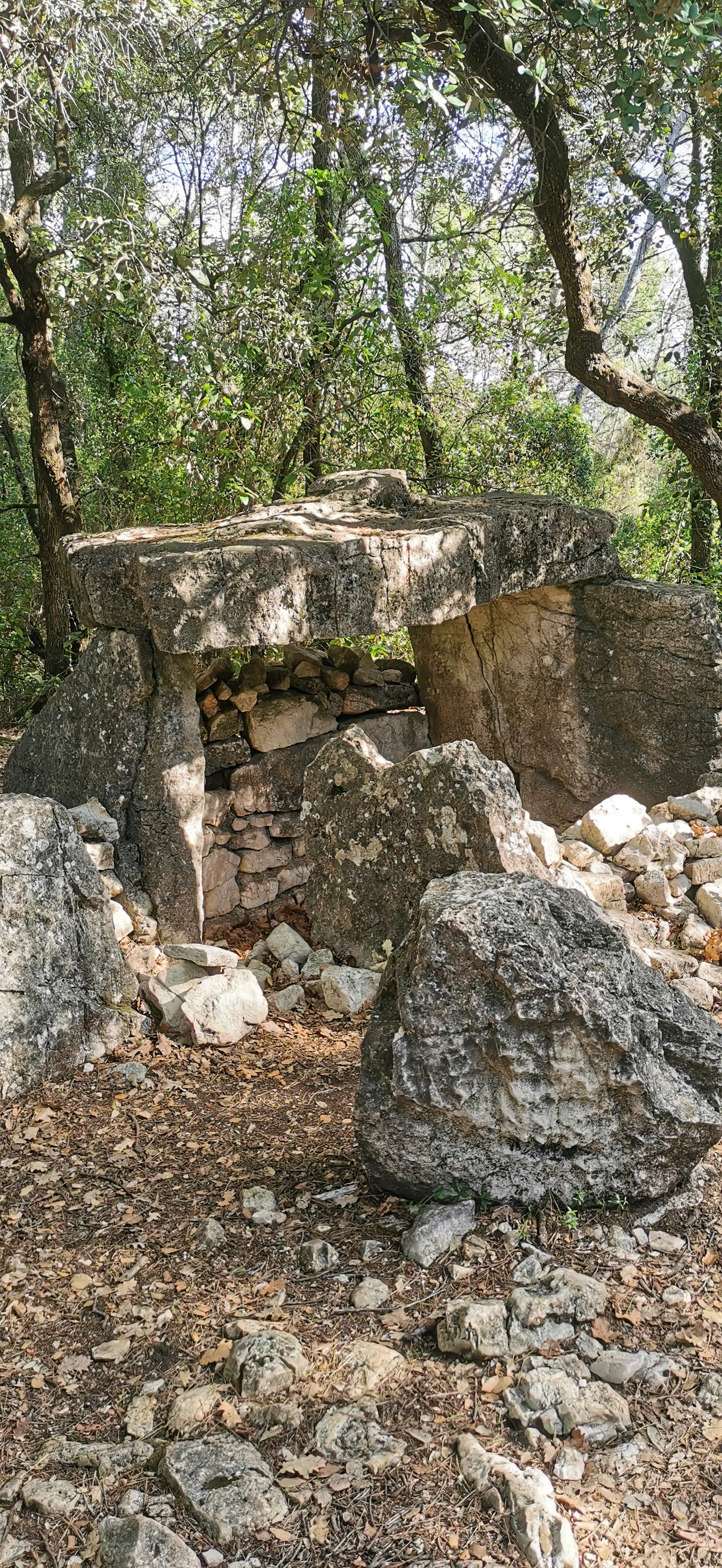 Image qui illustre: dolmen de la Gastée  à Cabasse - 0