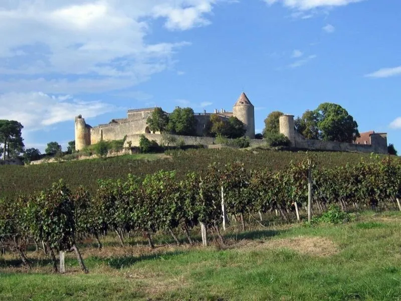 Image qui illustre: Château De Benauge à Porte-de-Benauge - 1