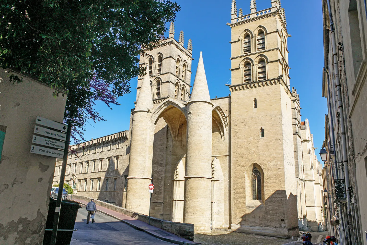Image qui illustre: Cathedrale Saint-pierre à Montpellier - 0