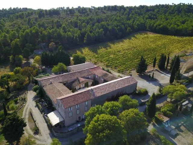 Image qui illustre: Château La Villatade