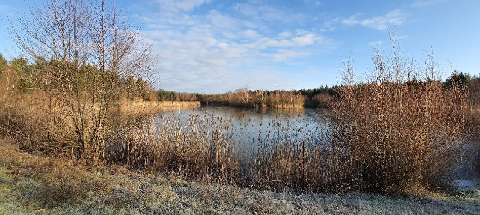 Image qui illustre: Lac du bois de Clouange à Marange-Silvange - 0