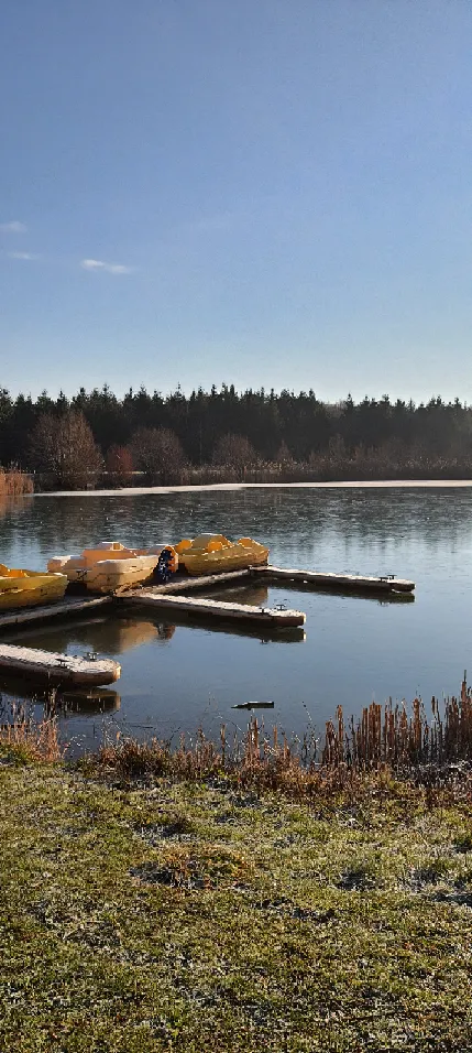 Image qui illustre: Lac du bois de Clouange à Marange-Silvange - 2
