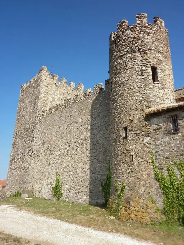 Image qui illustre: Chateau De Caladroy à Bélesta - 0