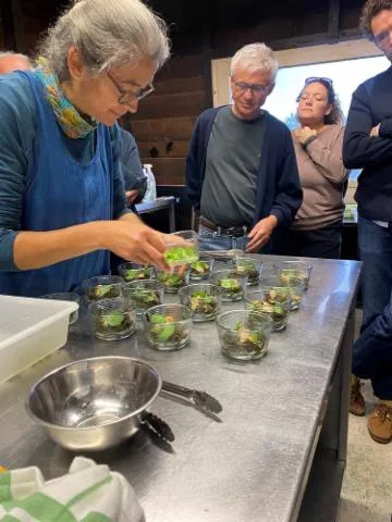 Image qui illustre: Atelier apprendre à cuisiner les algues alimentaires