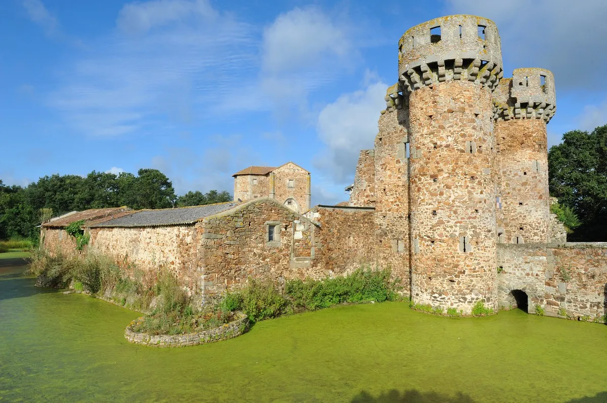 Image qui illustre: Les douves du château de Sanzay à Argentonnay - 1