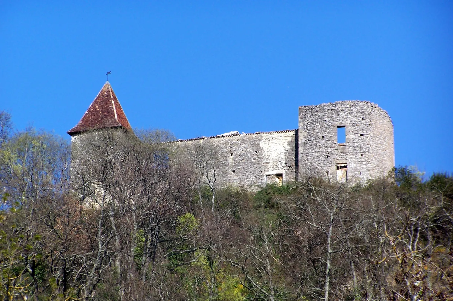 Image qui illustre: Château du Cros à Loupiac - 1