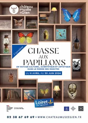 Image qui illustre: Exposition : Chasse Aux Papillons, Un Voyage Culturel, Scientifique Et Artistique Dans Le Monde Des Insectes