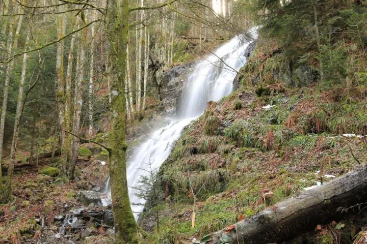 Image qui illustre: Cascade du Kletterbach