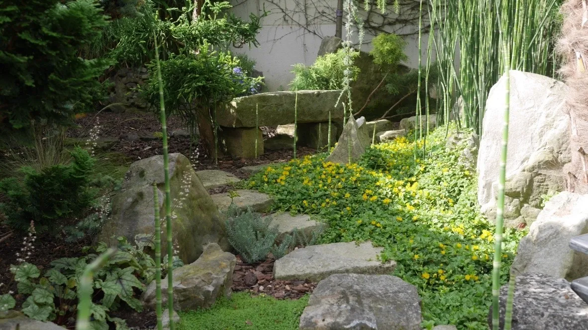 Image qui illustre: Visite libre du jardin zen à Courdimanche - 0