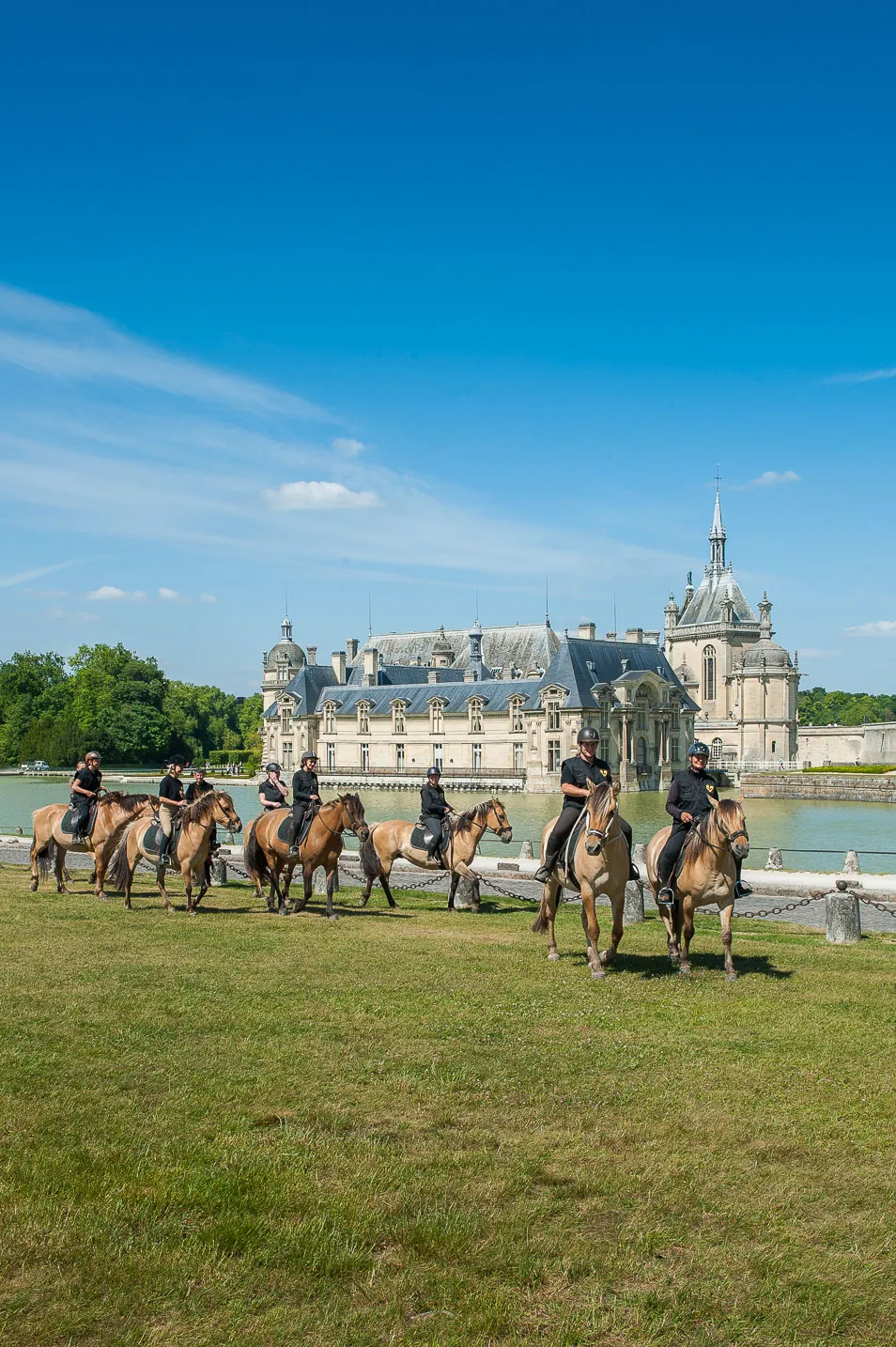Image qui illustre: Espace Equestre Henson Chantilly-apremont à Chantilly - 0