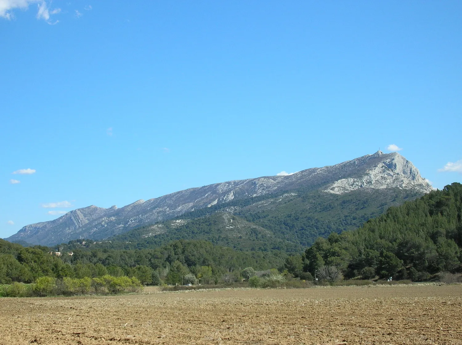 Image qui illustre: Montagne Sainte-Victoire à Vauvenargues - 0