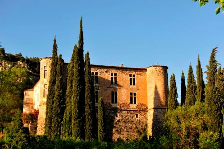 Image qui illustre: Château De Vins