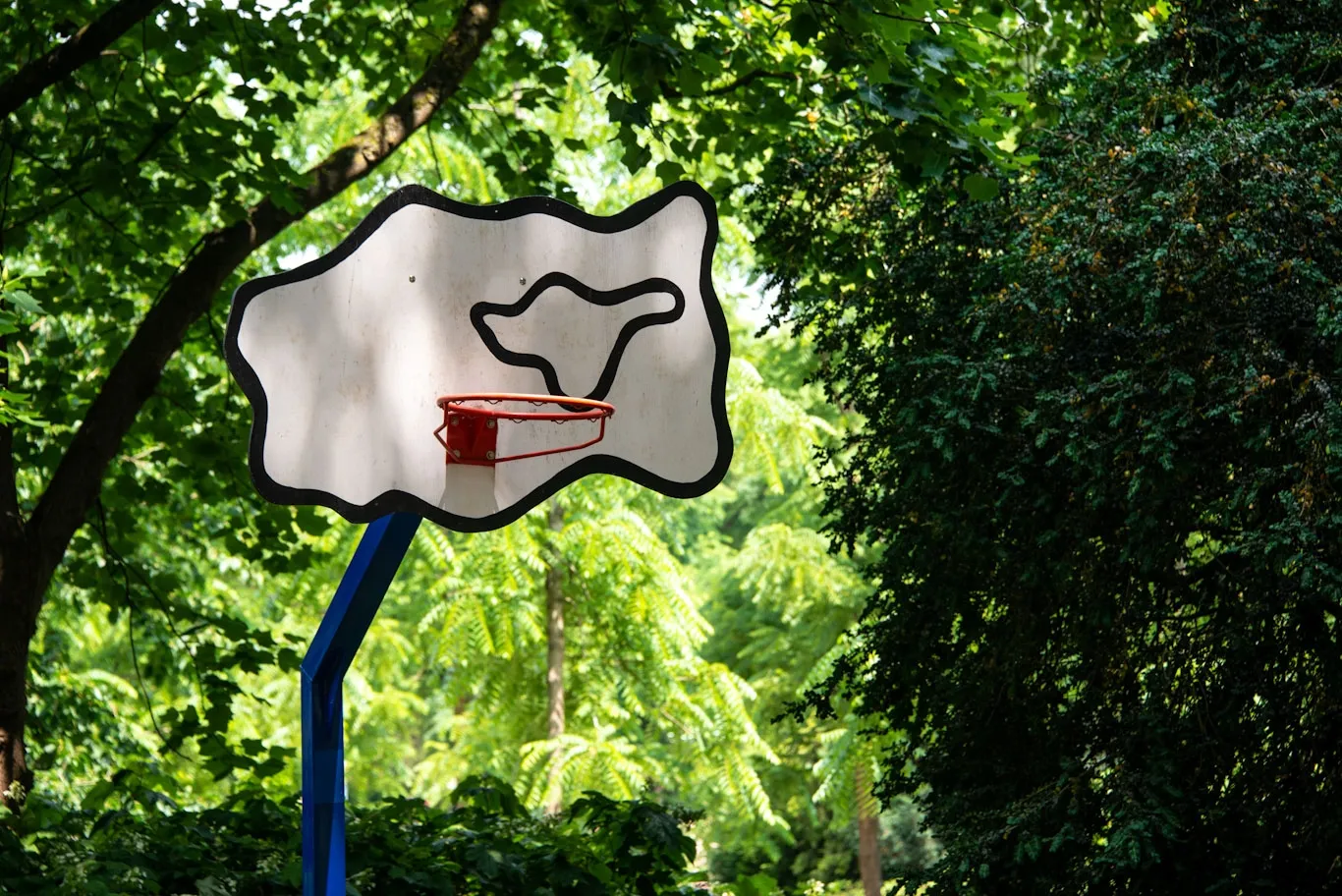 Image qui illustre: Street Art - Panier De Basket à Nancy - 1